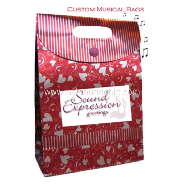 Music Paper Bag, Music Shopping Bag, Recordable Gift Bag